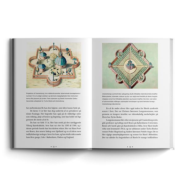 Heksene og den perfekte hofmand