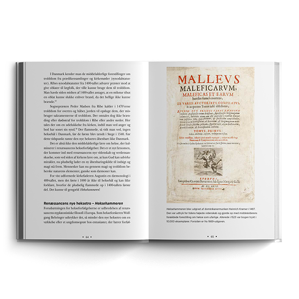 Heksene og den perfekte hofmand