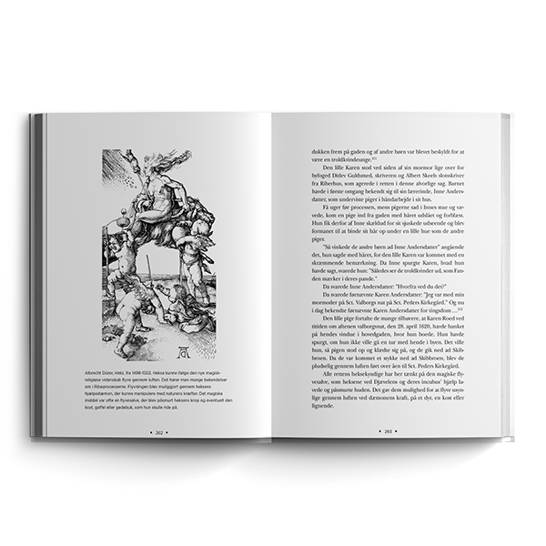 Heksene og den perfekte hofmand