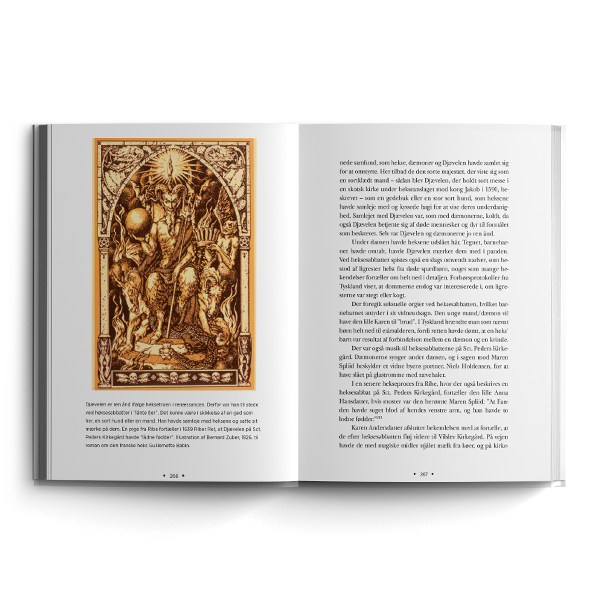 Heksene og den perfekte hofmand