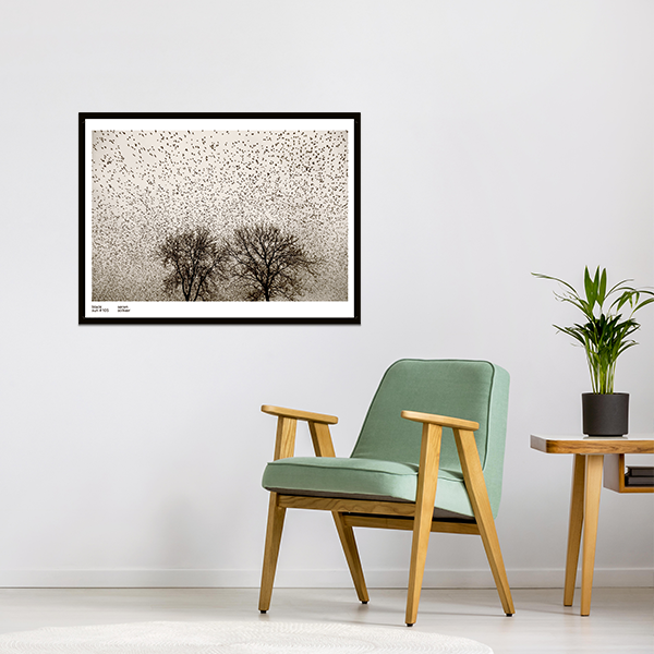 Sort Sol#105 særtryk af Søren Solkær "Træ og fugle"