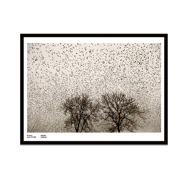 Sort Sol#105 særtryk af Søren Solkær "Træ og fugle"