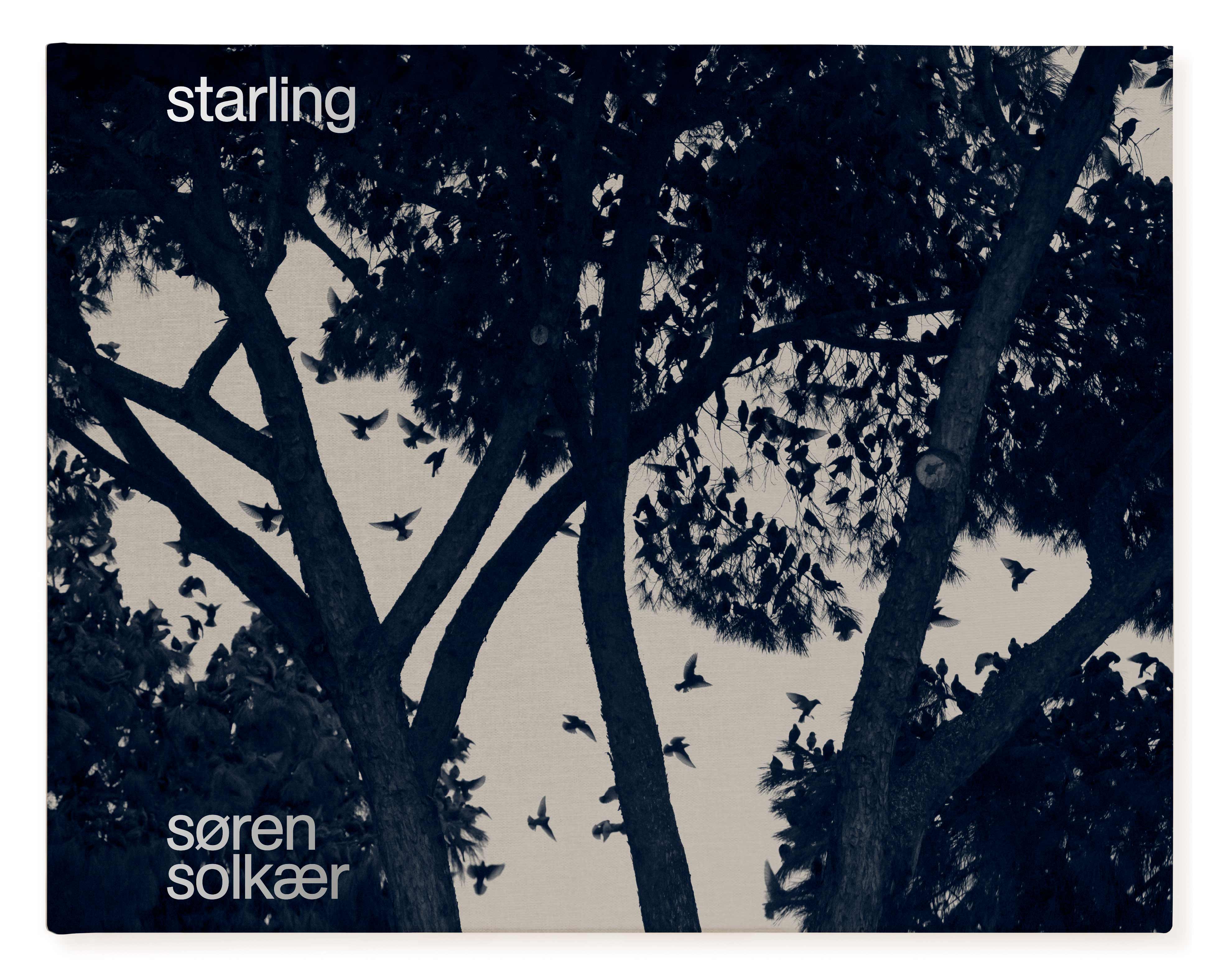 Starling af Søren Solkær - Bog