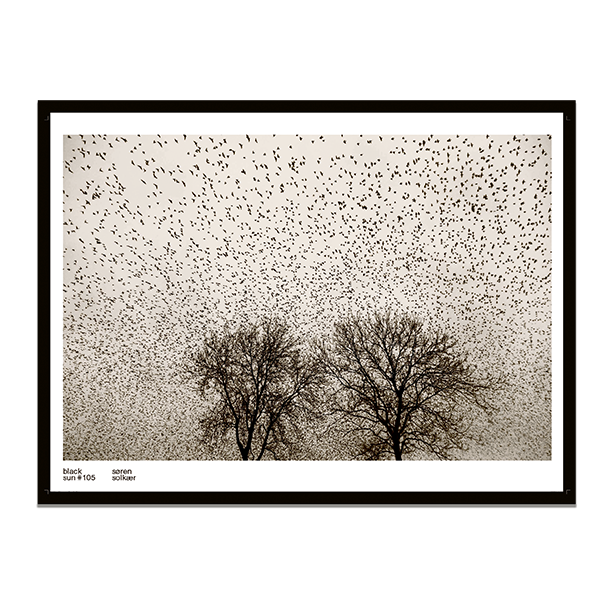 Sort Sol# samlet sæt af Søren Solkær "Træ og fugle" #105 og "Fugle" #70
